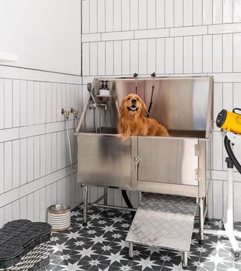 Community dog park & spa